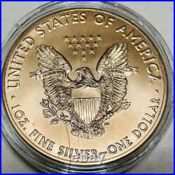 Silver Eagle Color Silver Coin 2019SIMCHAT TORAH with COABOX No. 28292